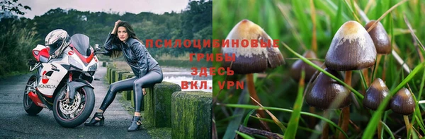 прущая мука Горнозаводск